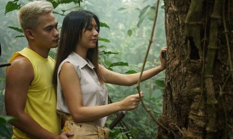 Rừng Trinh Nữ, Virgin Forest (2022)